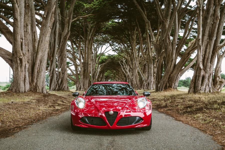  Alfa Romeo 4C Launch Edition (960) 2015 года  (NA) (фото 43 из 44)